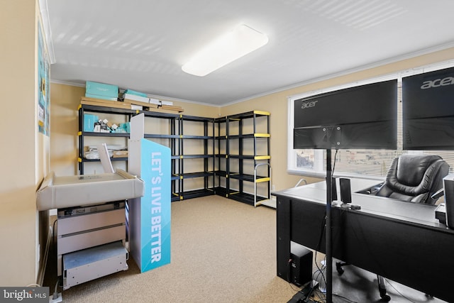 office featuring crown molding and light carpet