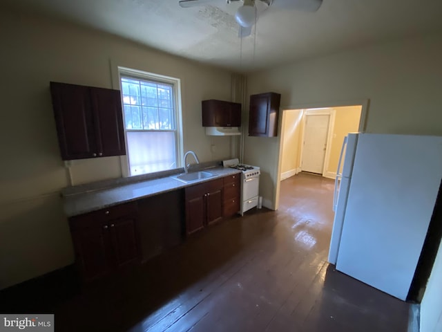 kitchen with ceiling fan, dark wood-type flooring, white appliances, dark brown cabinetry, and sink