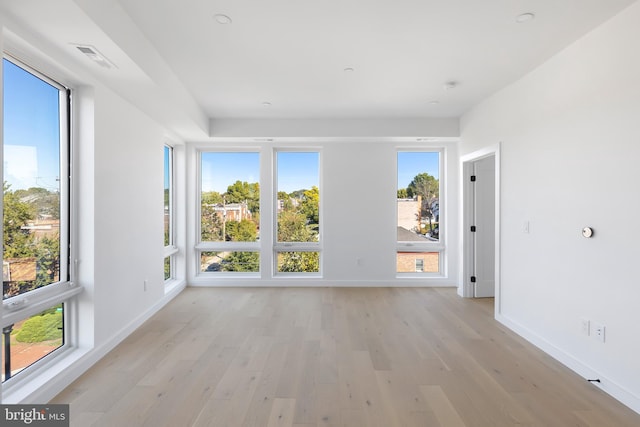 empty room with a healthy amount of sunlight and light hardwood / wood-style floors