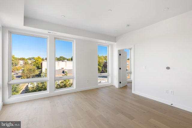 empty room featuring plenty of natural light and light hardwood / wood-style flooring