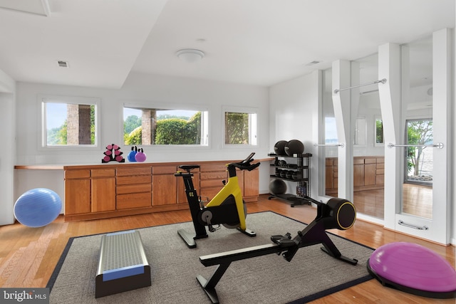 exercise room featuring a wealth of natural light and light hardwood / wood-style flooring