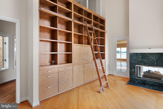 unfurnished living room with plenty of natural light, a premium fireplace, and light wood-type flooring