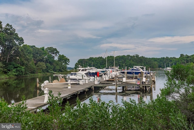 dock area featuring a water view