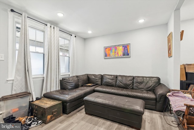 living room featuring light wood-type flooring