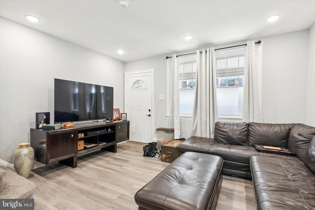 living room featuring light hardwood / wood-style floors