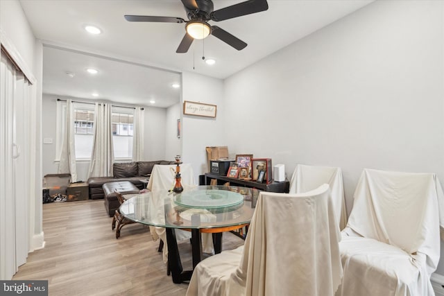 dining area with ceiling fan and light hardwood / wood-style flooring