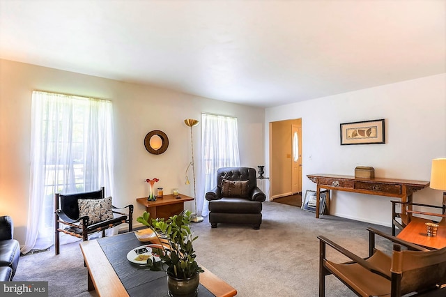 view of carpeted living room