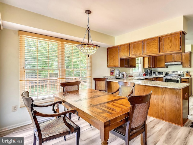 dining space featuring plenty of natural light, sink, and light hardwood / wood-style floors