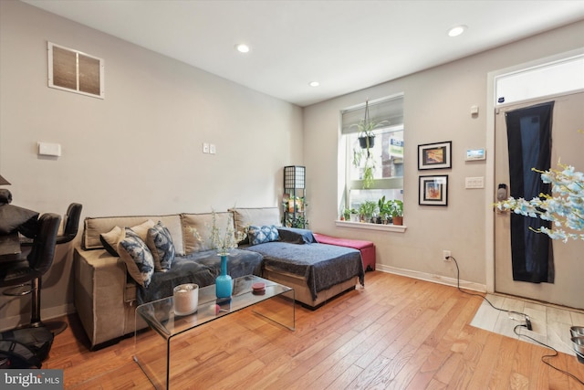 living room with wood-type flooring