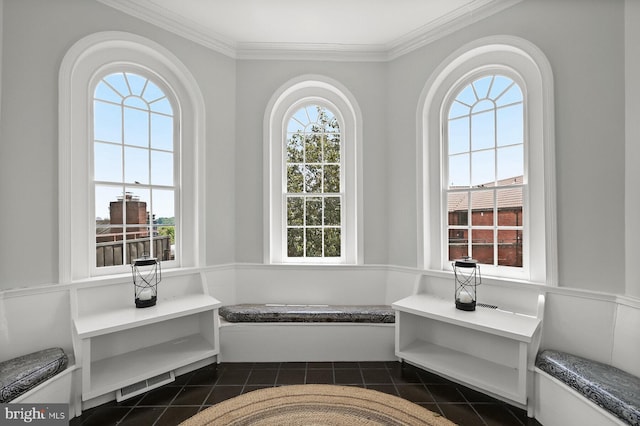 bathroom with crown molding, a wealth of natural light, and tile floors