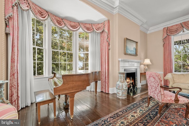 sitting room featuring crown molding, a wealth of natural light, and dark wood-type flooring