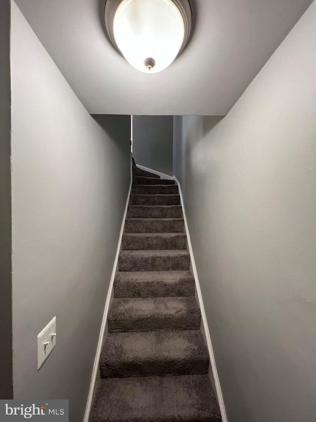 staircase featuring carpet flooring