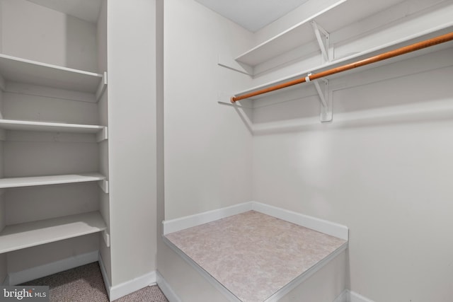 walk in closet with light colored carpet