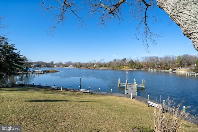 dock area featuring a water view and a yard