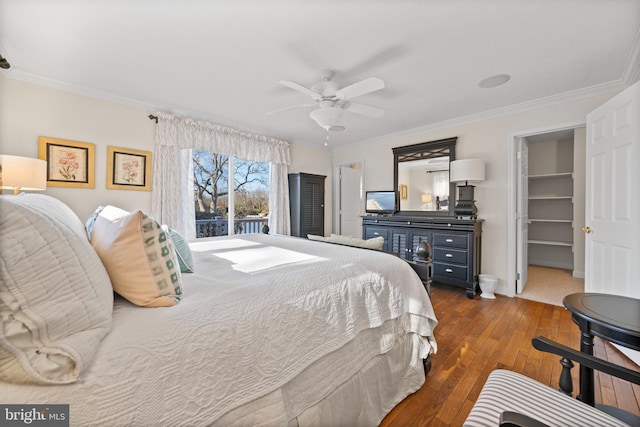 bedroom with ornamental molding, ceiling fan, a walk in closet, and dark wood-type flooring