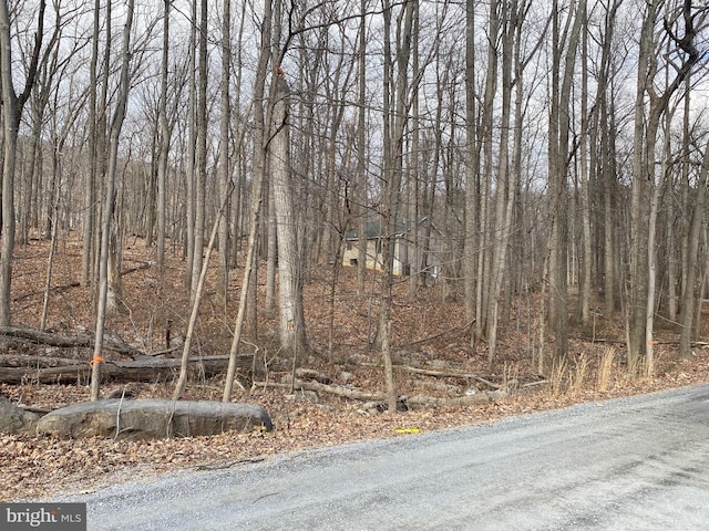 LOT8 Mountain Lodge Dr, Winchester VA, 22602 land for sale