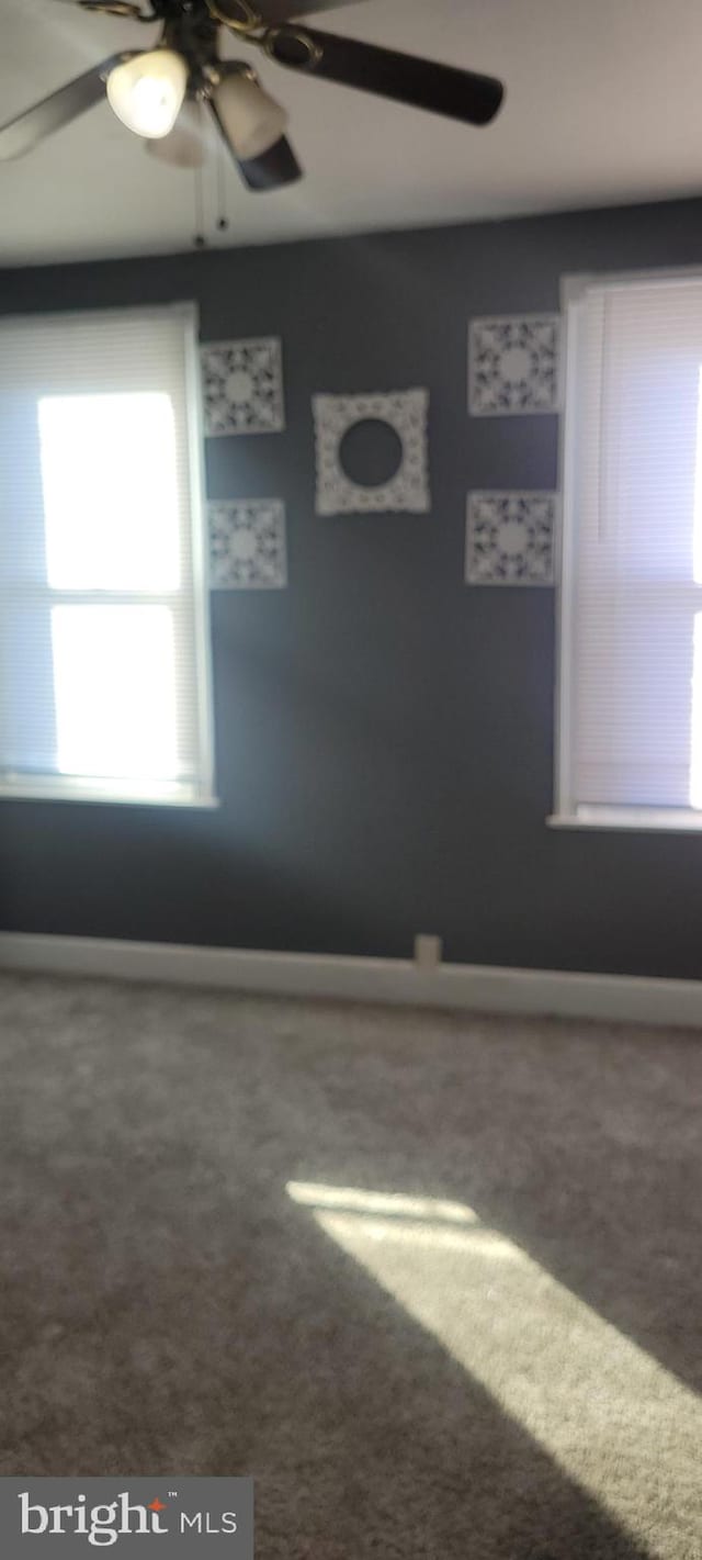 unfurnished room featuring ceiling fan and carpet floors