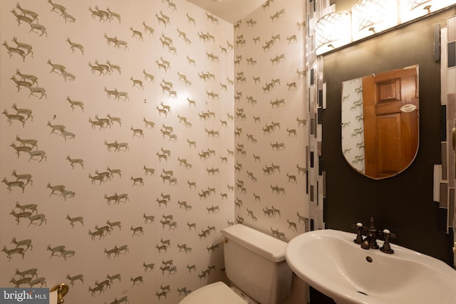 bathroom featuring sink and toilet