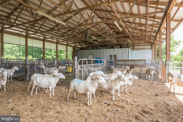 view of horse barn