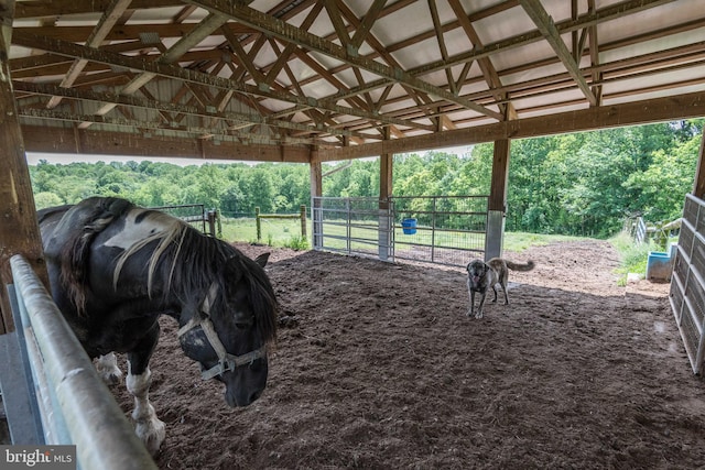 view of horse barn