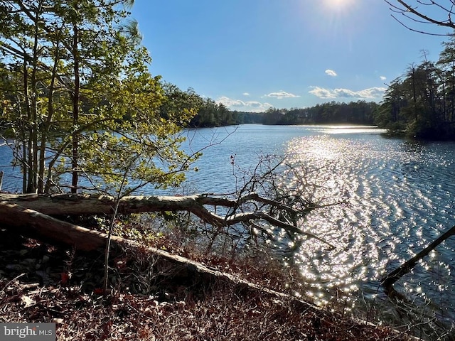 LOT6 Lighthouse Ln, Heathsville VA, 22473 land for sale