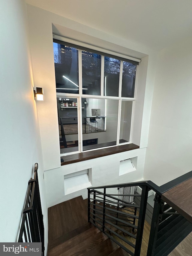 stairs with dark hardwood / wood-style flooring