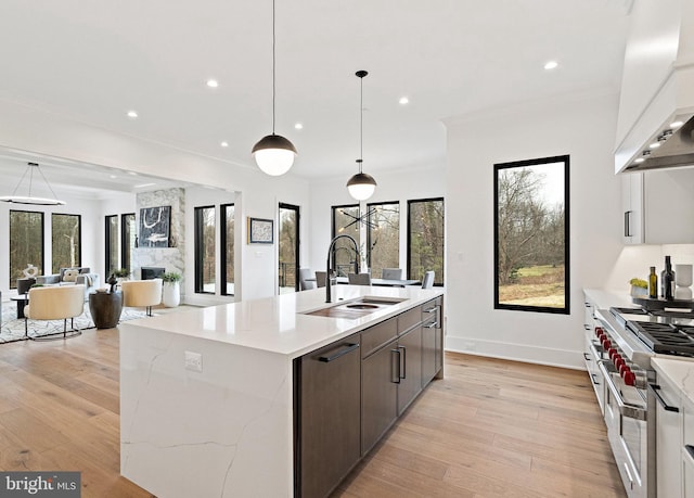 kitchen featuring white cabinets, custom range hood, light wood-type flooring, and sink