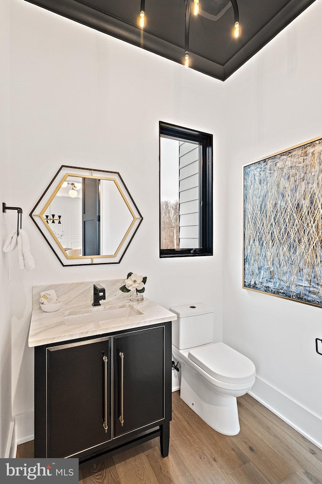 bathroom featuring vanity, wood-type flooring, and toilet