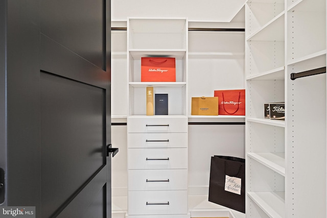 view of spacious closet