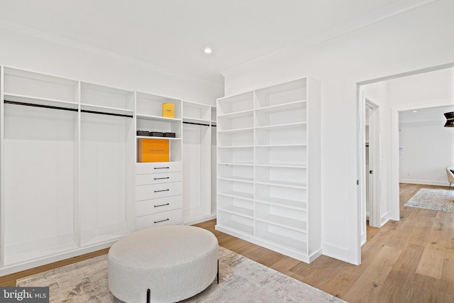 spacious closet featuring light wood-type flooring