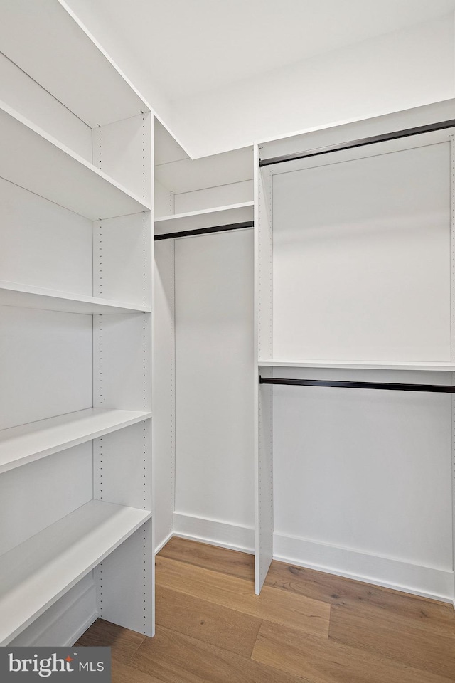 walk in closet with hardwood / wood-style flooring