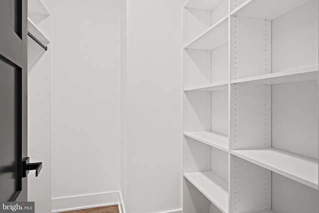 spacious closet with hardwood / wood-style flooring