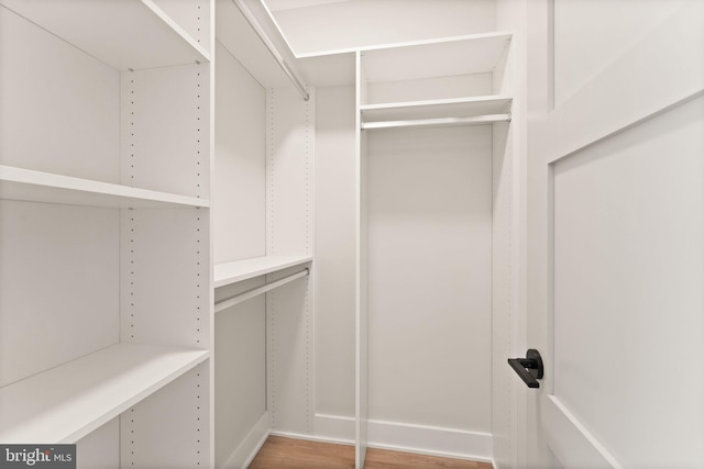 spacious closet with hardwood / wood-style flooring