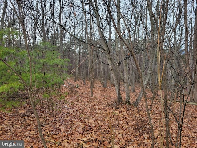 LOT2 Timber Ridge Rd N, Cross Junction VA, 22625 land for sale