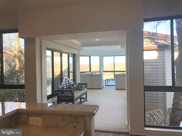 sunroom with a healthy amount of sunlight