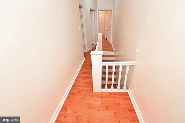 stairway with light hardwood / wood-style flooring