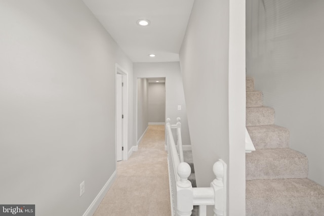 stairs with carpet floors