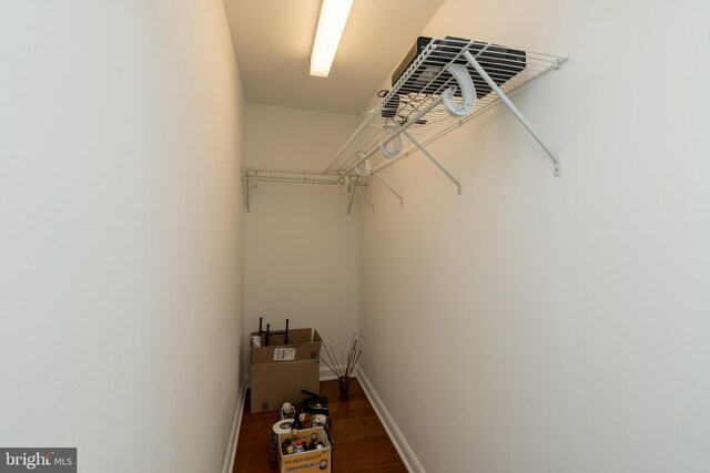 walk in closet with wood-type flooring