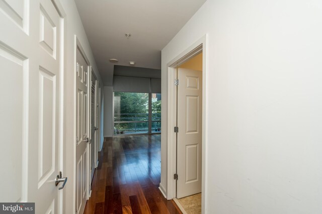 hall featuring dark hardwood / wood-style flooring