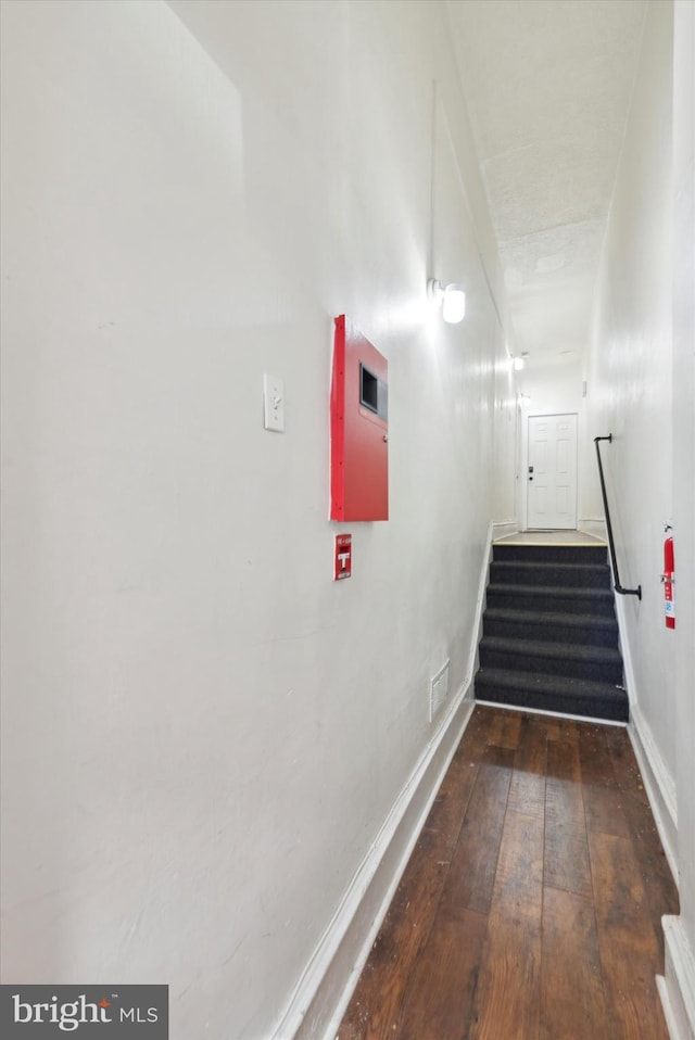 stairway with hardwood / wood-style floors