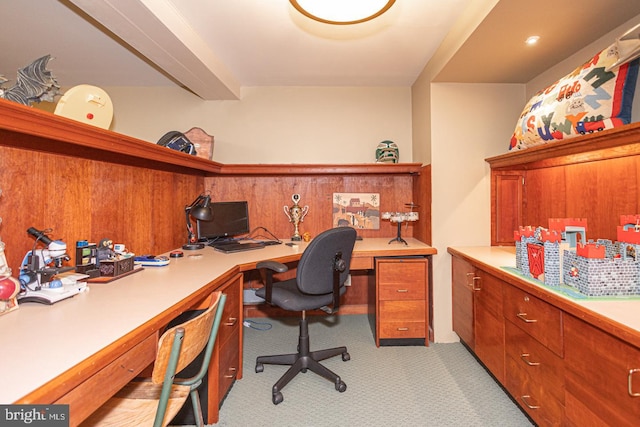 3111 Burnt House Hill Rd, Doylestown, PA 18902 - carpeted office space with built in desk