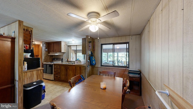 dining space featuring ceiling fan, wood walls, and sink