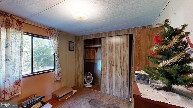 interior space featuring wood walls, a textured ceiling, and carpet floors