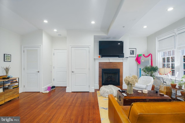 living room with wood-type flooring and a fireplace