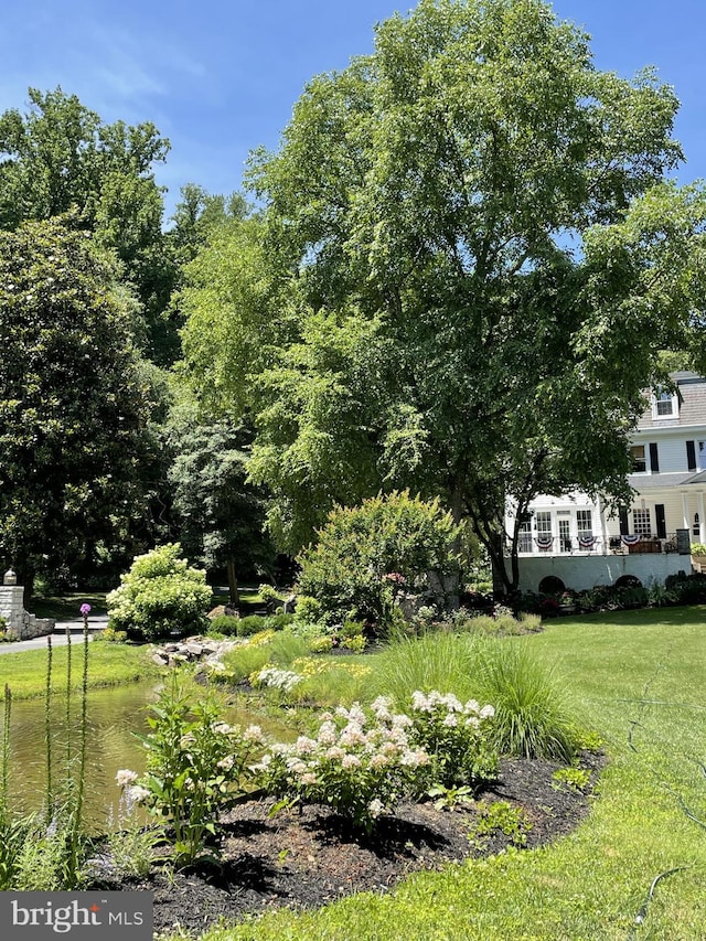 view of yard with a water view