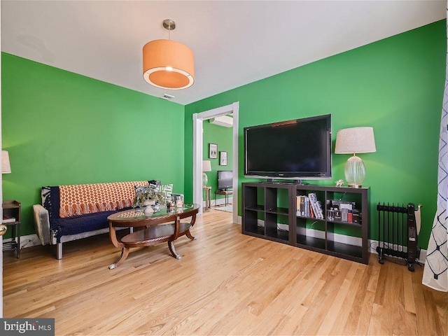 living room featuring light hardwood / wood-style flooring