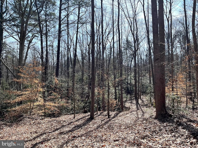 LOT10B Thunder Rd, King George VA, 22485 land for sale