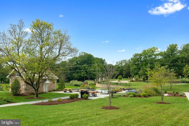 view of property's community featuring a yard