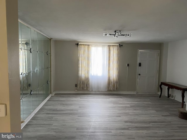 foyer featuring wood-type flooring