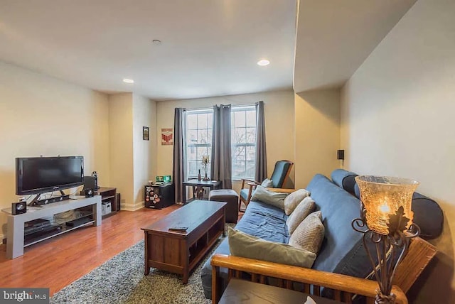 living room with hardwood / wood-style flooring